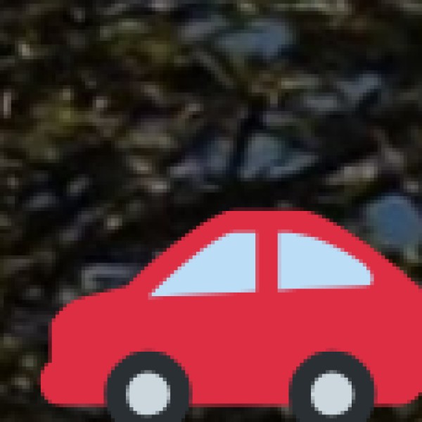 Self-Drive or Taxi: