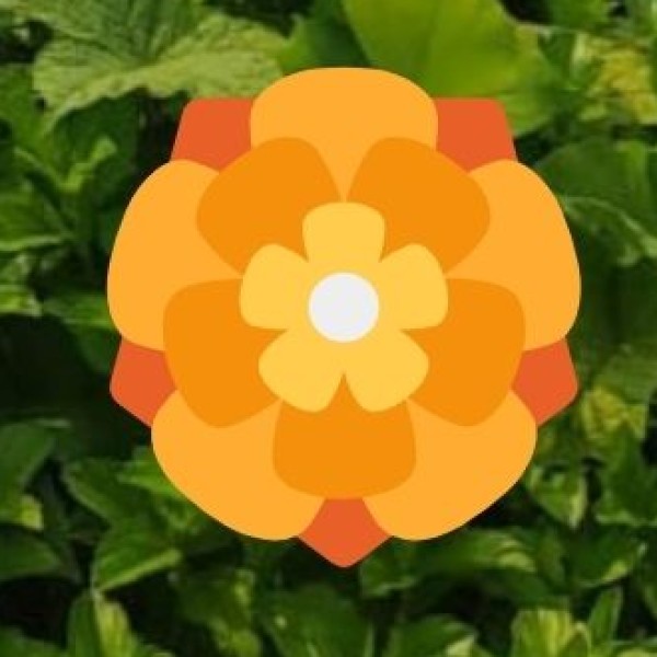 Nearby Destinations & Day Trips