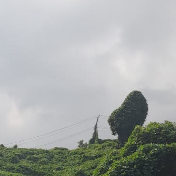 Best nearby Destinations & Day Trips