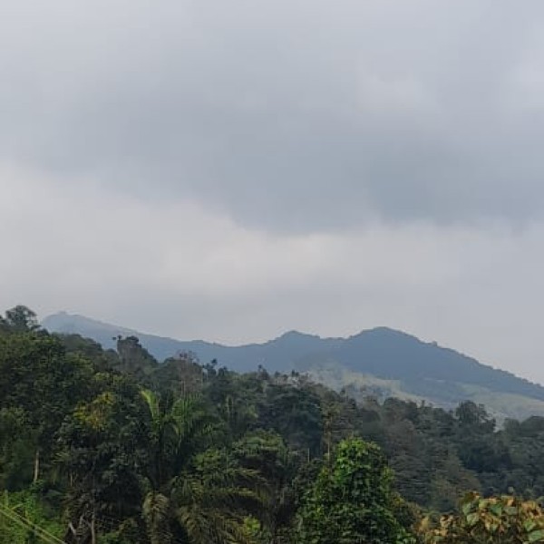 Best nearby Destinations & Day Trips