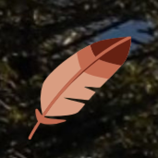 Chambal Wildlife Sanctuary – Offbeat Adventure