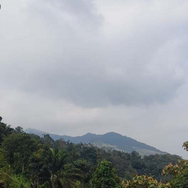 Best nearby Destinations & Day Trips