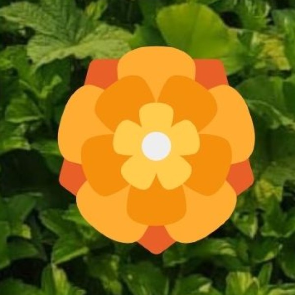 Thotlakonda Buddhist Complex