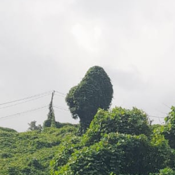 Best nearby Destinations & Day Trips
