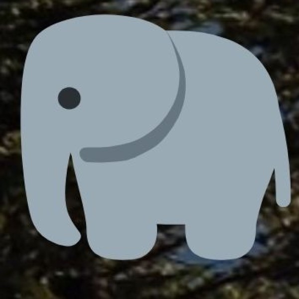 . Guruvayur & Punnathur Kotta Elephant Sanctuary (Approx. 28 km from Thrissur)