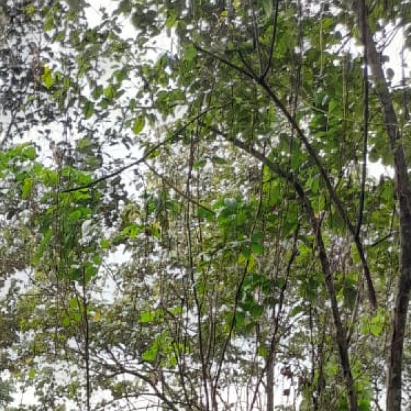 Nearby Destinations & Day Trips