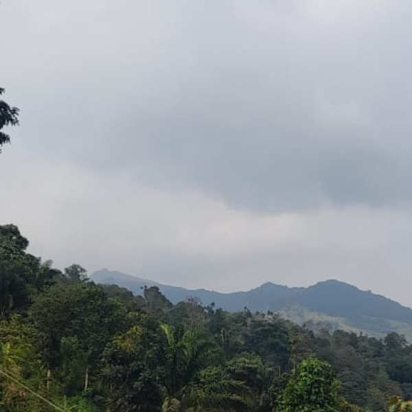Best nearby Destinations & Day Trips