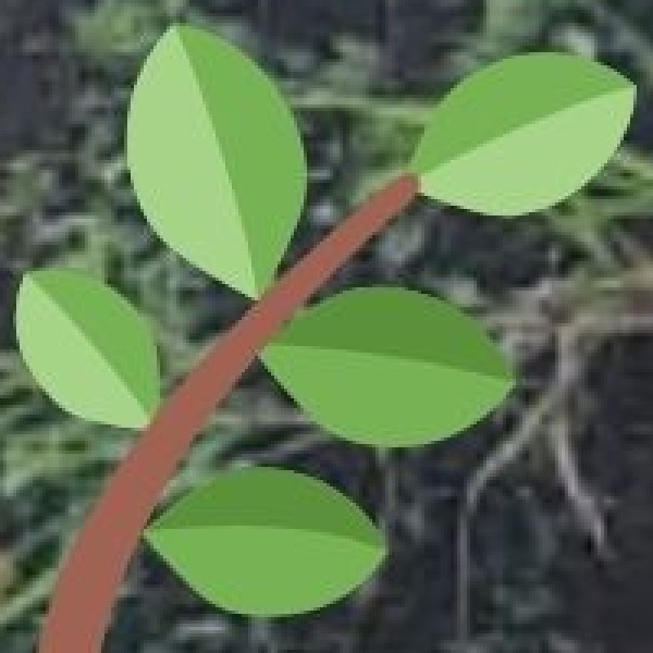 Meppadi & Tea Estates