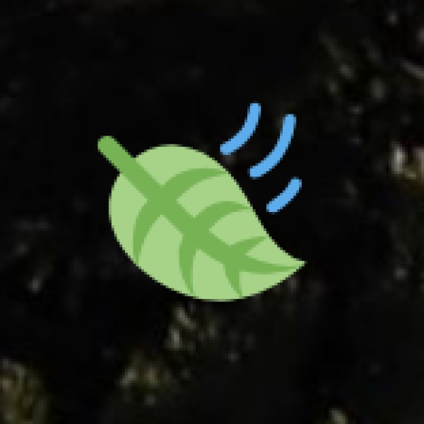 Allahabad (Prayagraj) – The City of Sangam & Kumbh Mela