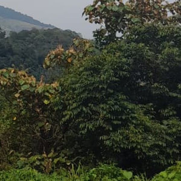 Best nearby Destinations & Day Trips