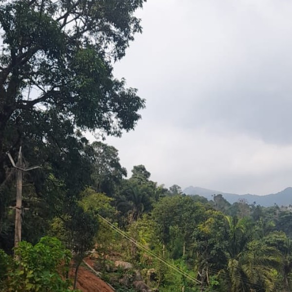 Best nearby Destinations & Day Trips