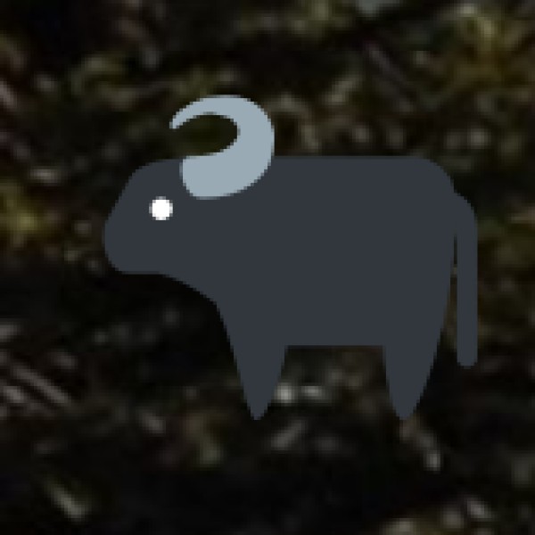 Dudhwa National Park – A Wildlife Adventure