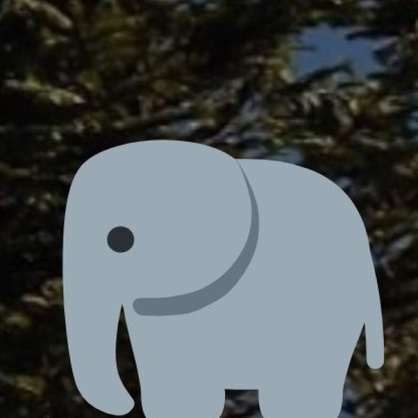Kodanad Elephant Training Centre