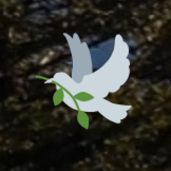 Bharatpur Bird Sanctuary (Keoladeo National Park)