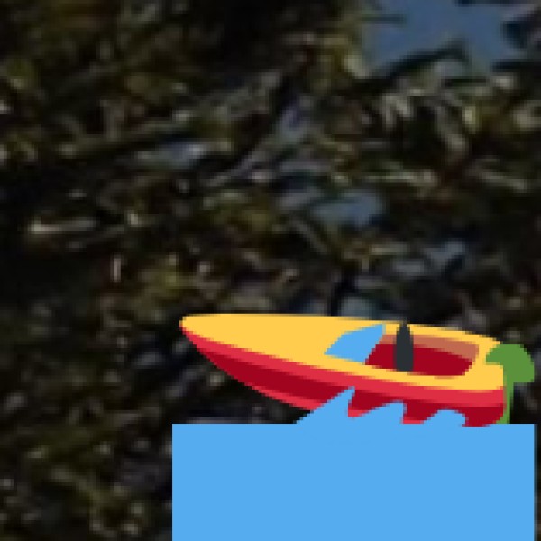 Ramnagar – A Peaceful Riverside Town