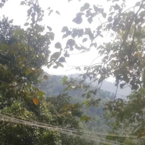 Best nearby Destinations & Day Trips