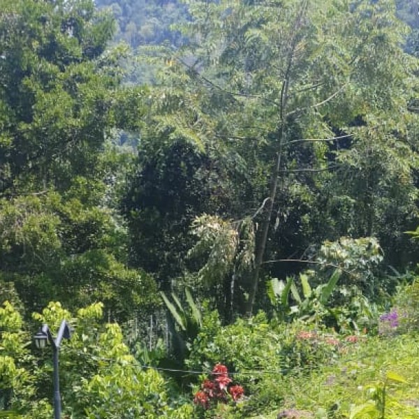 Best nearby Destinations & Day Trips