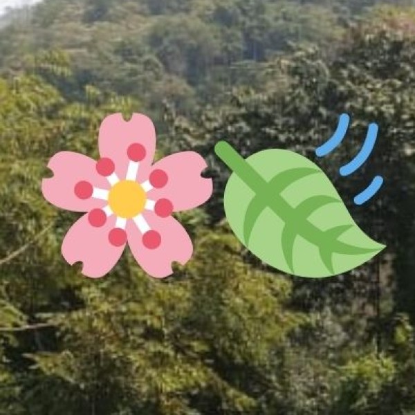 Kushinagar – The Sacred Land of Buddha’s Mahaparinirvana