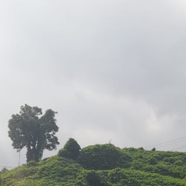 Best nearby Destinations & Day Trips