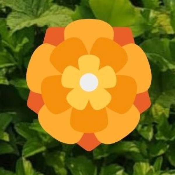 Nearby Destinations & Day Trips