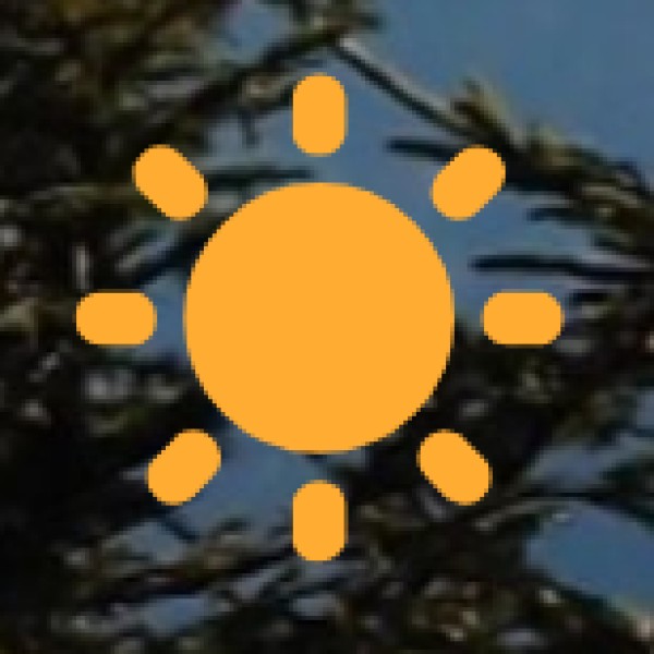 Jim Corbett National Park – Wildlife Safari Adventure