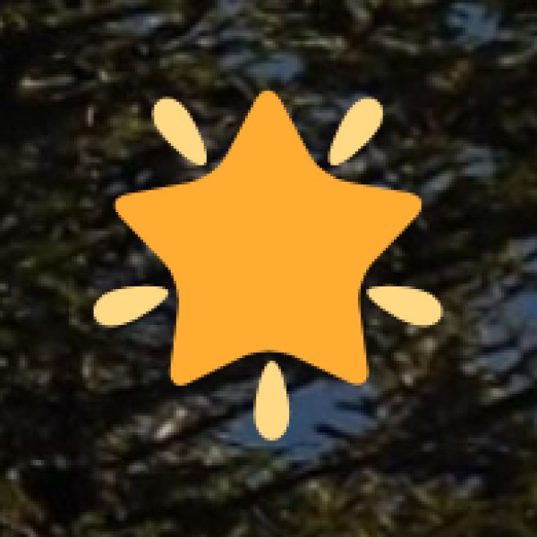 Nawabganj Bird Sanctuary – A Paradise for Birdwatchers