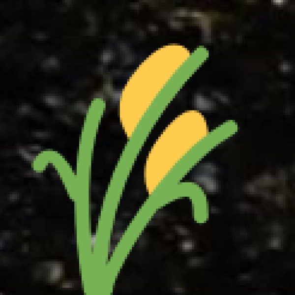 Economy and Agriculture