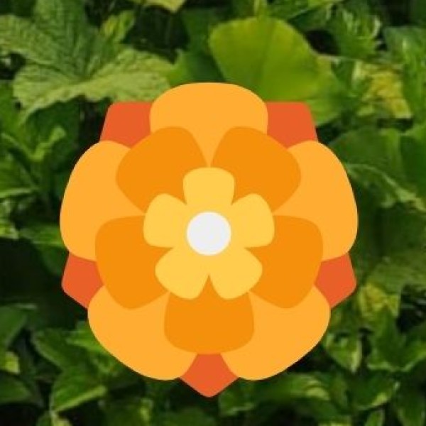 Recent Highlights & Projects