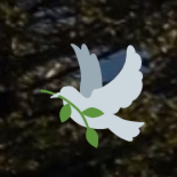 Agra General Introduction