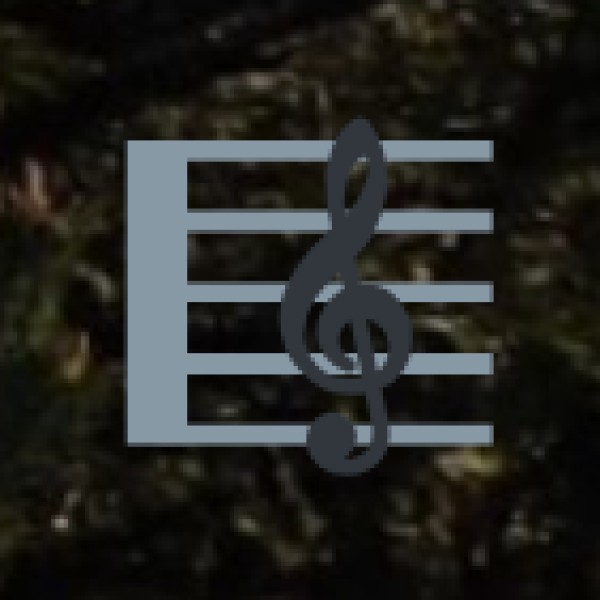 Art, Music, and Festivals