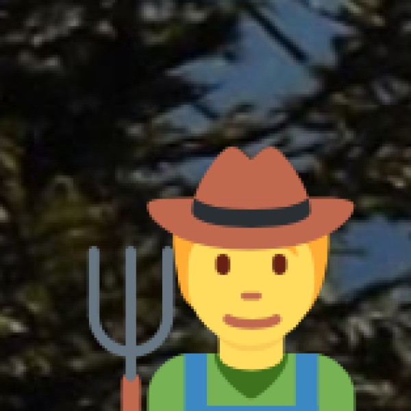 Food & Water Safety in Bareilly