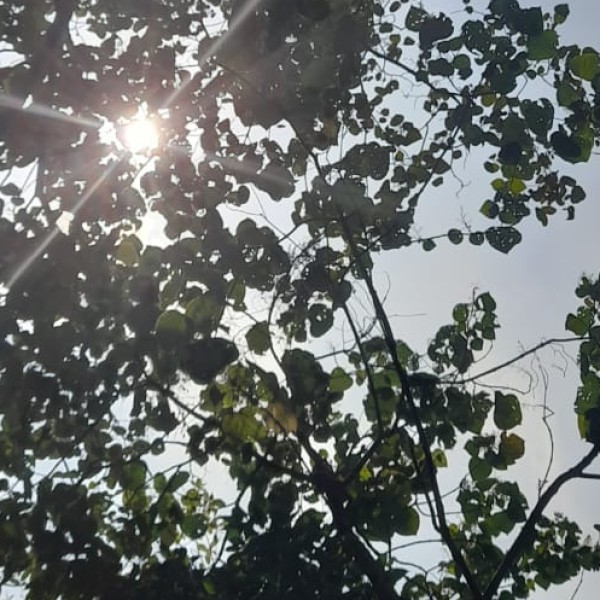 Travel Tips & Safety