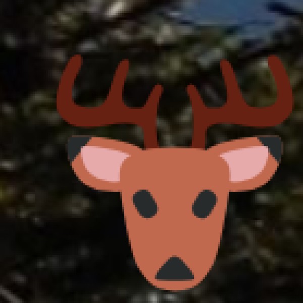 Wildlife & Nature Safety