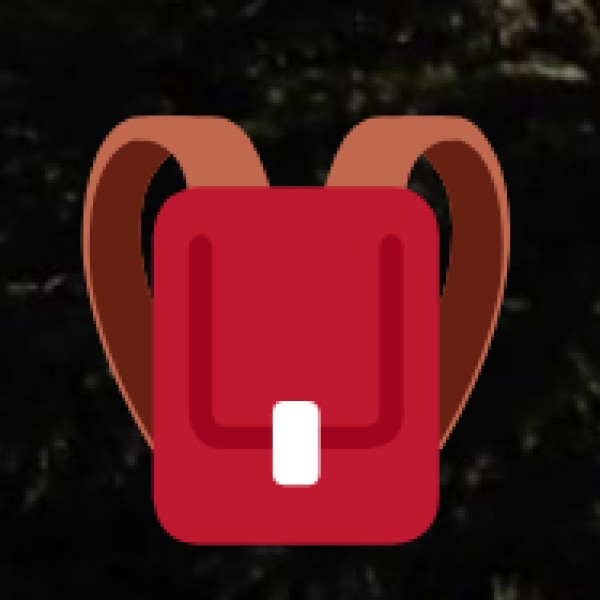 What to Pack