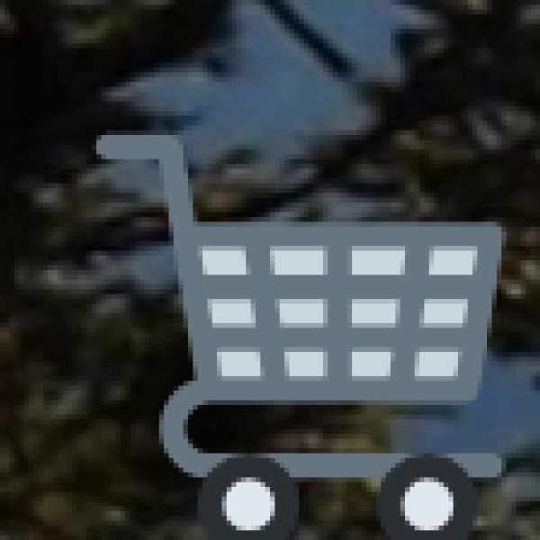 Shopping in Wayanad