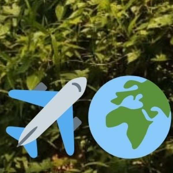 Sustainable Travel Practices
