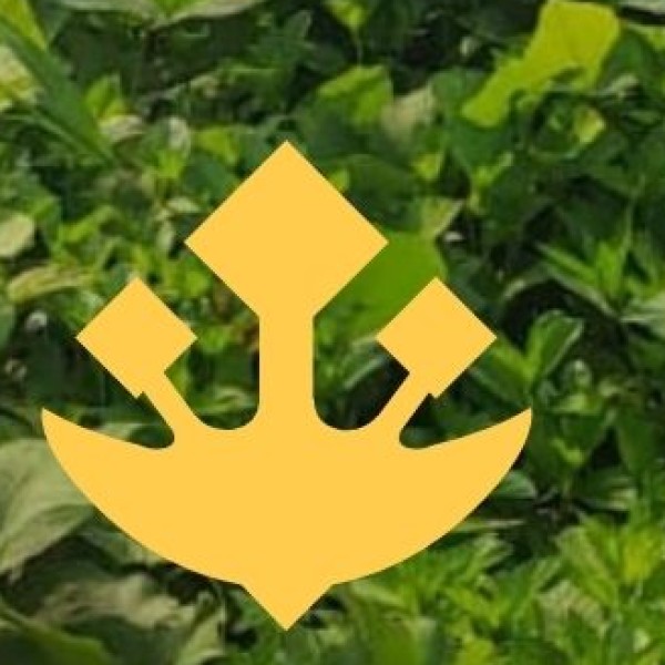 Connectivity & Internet