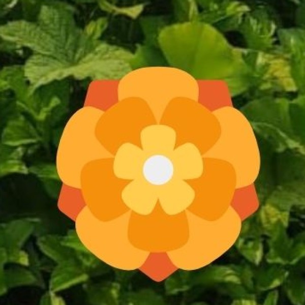 Food & Water Safety in Prayagraj