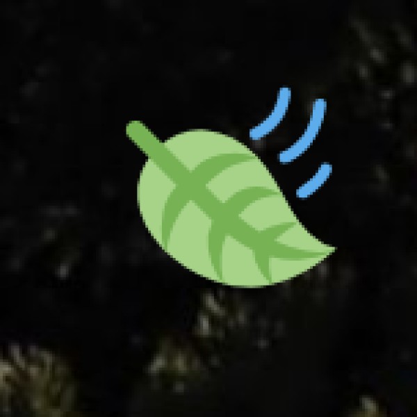 Safety Tips for Tourists in Kanpur