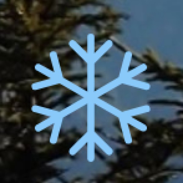 Language & Local Etiquette