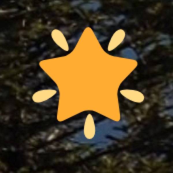 Budget & Money-Saving Tips