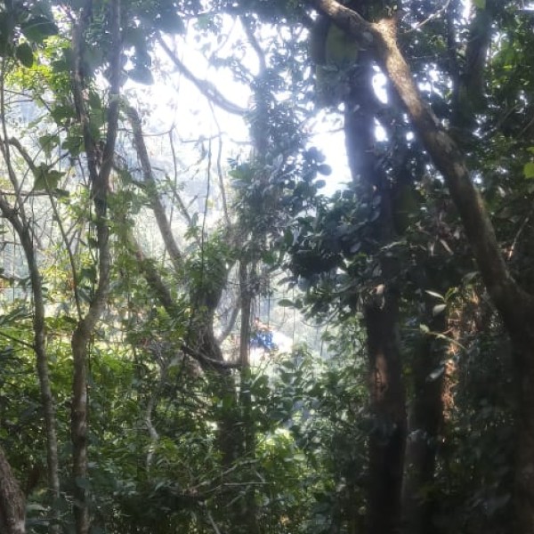 Travel Tips & Safety