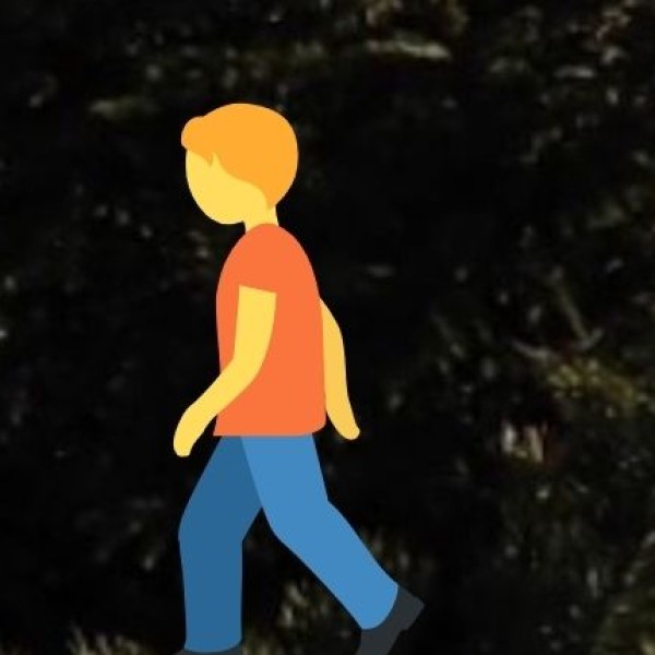 Local Transport & Safety in Meerut