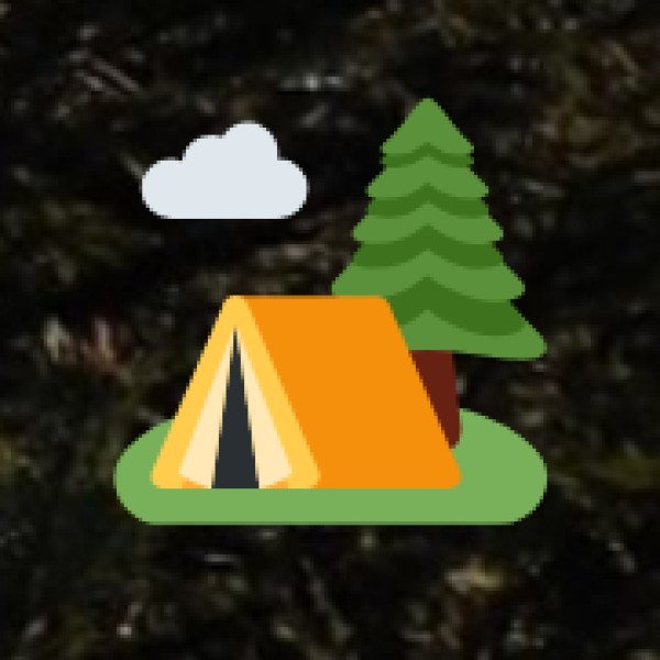 Budget & Money-Saving Tips