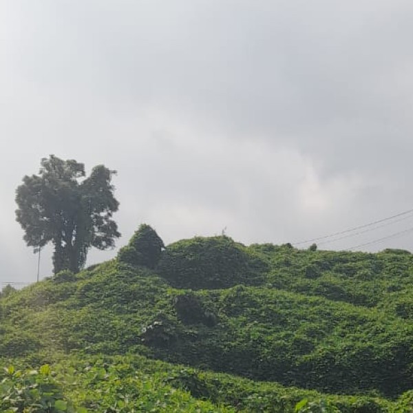 Travel Tips & Safety