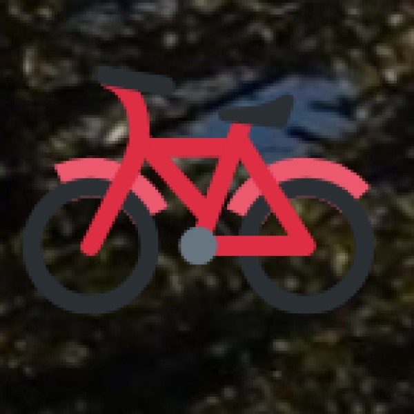 Local Transportation & Getting Around