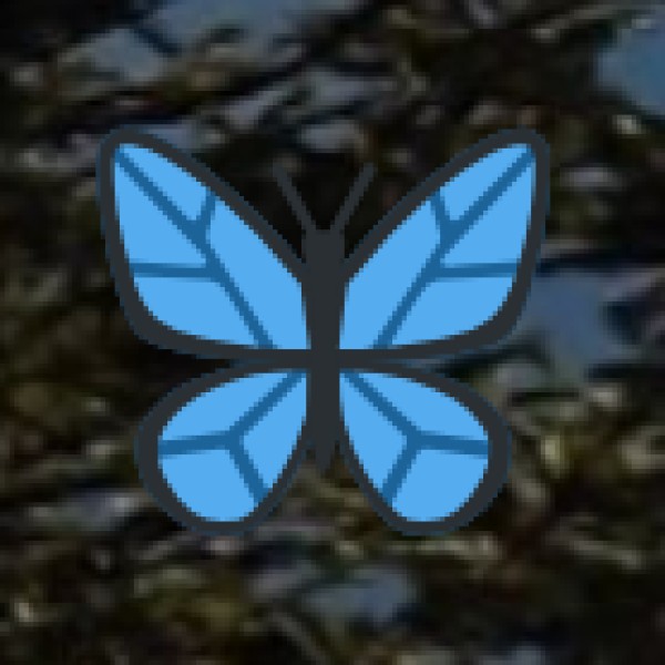 Local Transport Safety in Varanasi