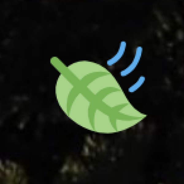 Hospitals & Medical Care