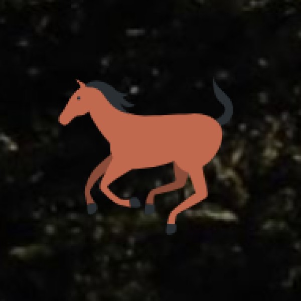 Safety Tips for Tourists in Gorakhpur