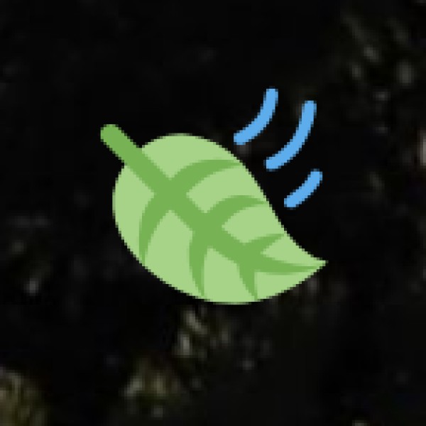 How to Travel Safely to Varanasi